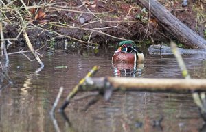 IMG_0567