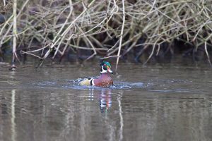 IMG_0602