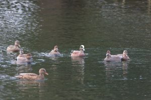 IMG_0689