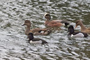 IMG_0729