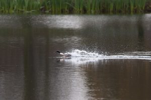 IMG_0758