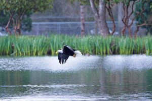 IMG_0797 1
