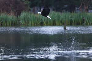 IMG_0800