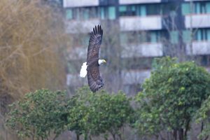 IMG_0806