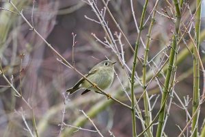 IMG_0903
