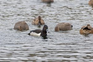 IMG_0985