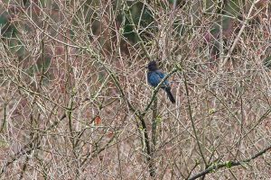 IMG_1024