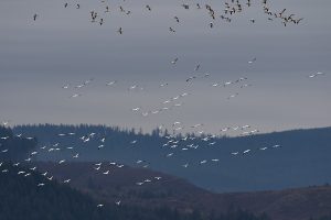 IMG_1254