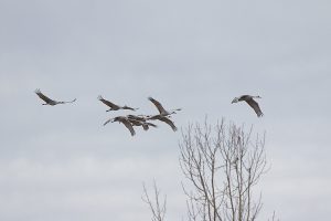 IMG_1361