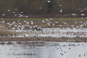 IMG_1526
