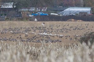 IMG_1538