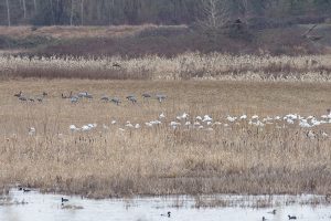 IMG_1542