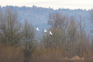 IMG_1548