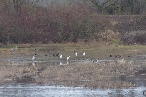 IMG_1600
