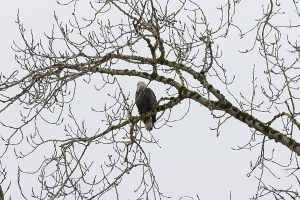 IMG_1692