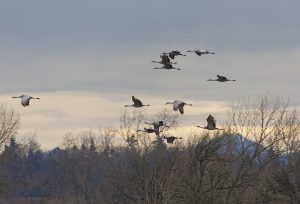 IMG_1702