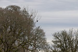 IMG_1721