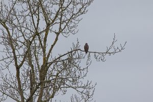 IMG_1726