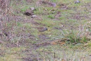 IMG_1758