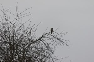 IMG_1772