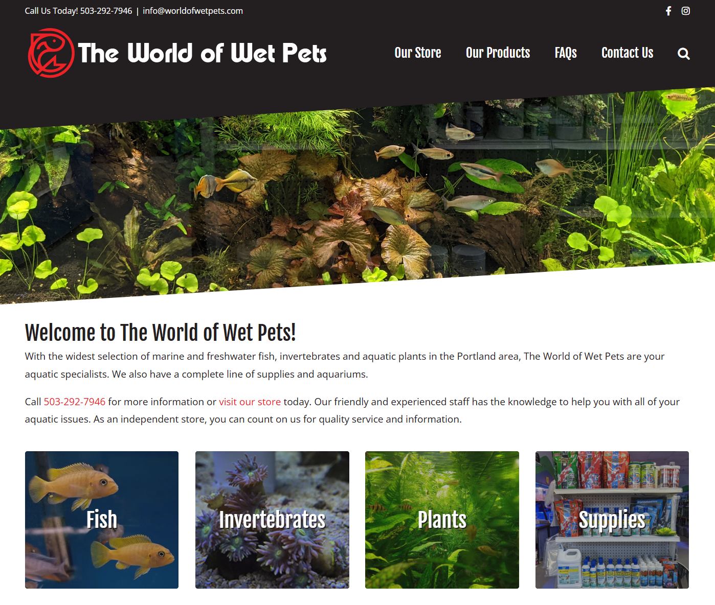 Small Business Spotlight: World of Wet Pets