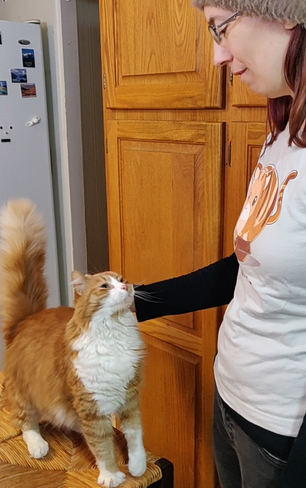 Linus on his station, ready for training