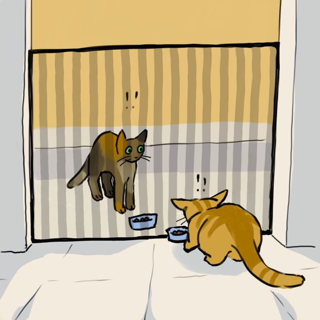 Feeding cats on either side of a baby gate is NOT the best way to go!

artist @tenletterz on cara.app