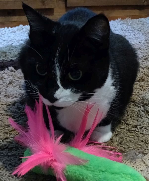 Abby with Dragonfly