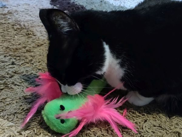 Abby with Dragonfly